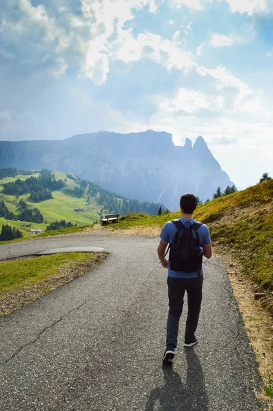 一个男人沿着乡间小路走着的垂直镜头 Alpe Siusi Dolomites 意大利 — 图库照片