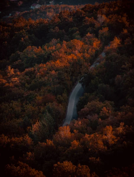 Вид Повітря Порожнє Асфальтове Шосе Через Ліси Восени — стокове фото