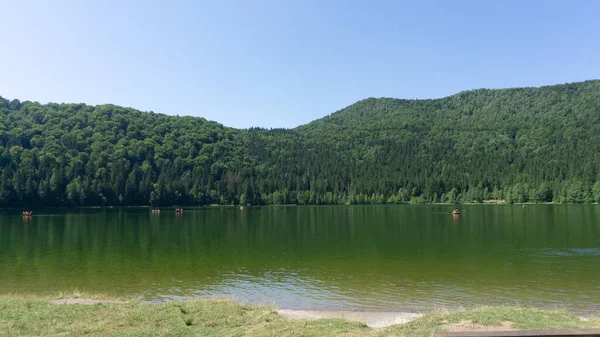 背景に森のあるルーマニアの緑の聖アナ湖の美しい景色 — ストック写真