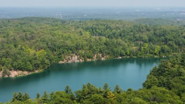 Pintoresca Vista Del Lago Entre Bosque Sin Fin Día Soleado — Vídeos de Stock