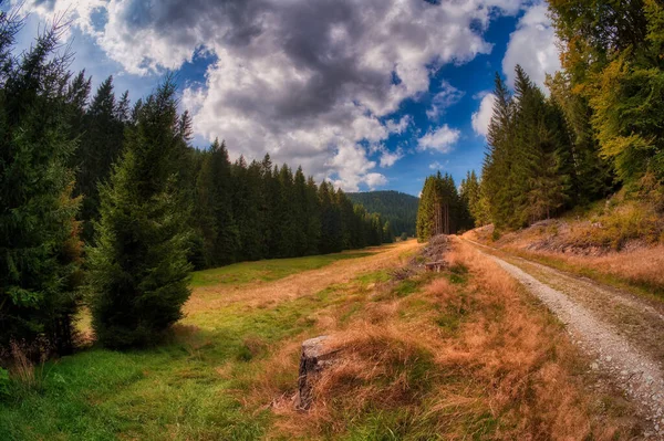 Wiejska Droga Prowadząca Lasów Wsi — Zdjęcie stockowe