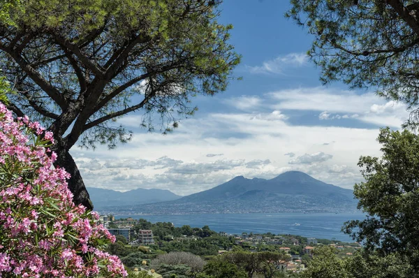 Golfo Nápoles Monte Vesubio Con Flores Plantas Primer Plano —  Fotos de Stock