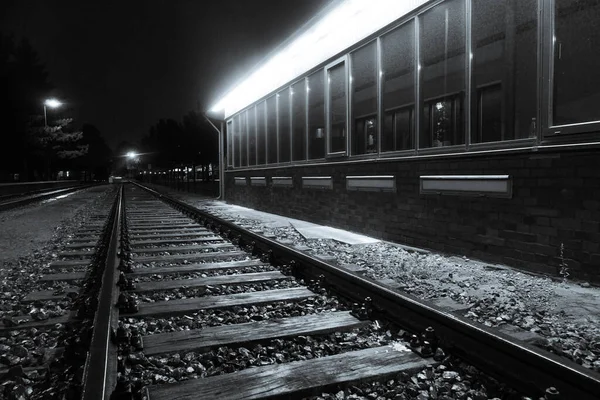 Graustufen Eines Bahnhofs Und Einer Eisenbahn — Stockfoto