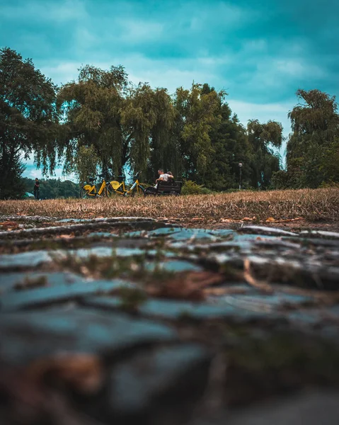 Uma Bela Paisagem Com Poças Água Árvores Sob Céu Nublado — Fotografia de Stock