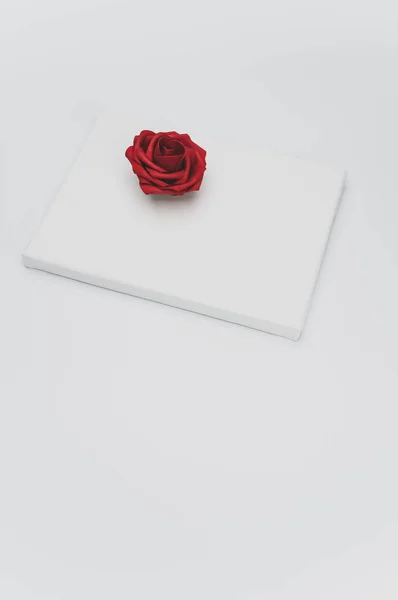 Vermelho Rosa Flor Cabeça Uma Tela Branco Branco Com Espaço — Fotografia de Stock