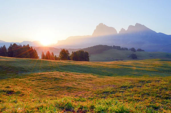 Όμορφη Θέα Στα Πράσινα Λιβάδια Και Βουνά Alpe Siusi Δολομίτες — Φωτογραφία Αρχείου