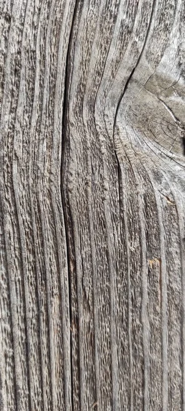 木の表面の閉鎖 — ストック写真