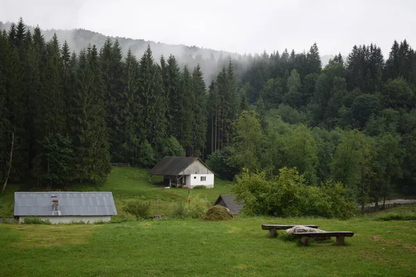 Ein Altes Verlassenes Häuschen Wald Mit Hohen Nadelbäumen Einem Neblig — Stockfoto