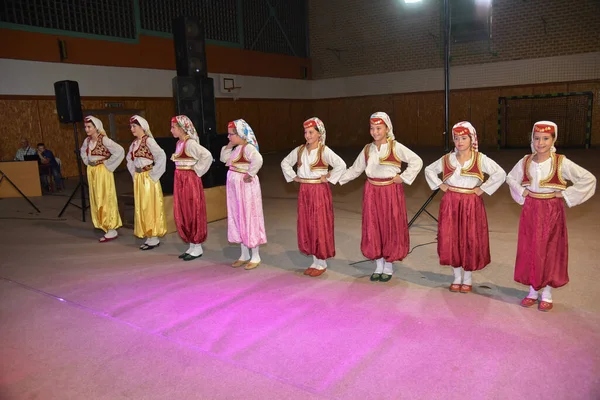 Maglaj Bosnia Herzegovina Августа 2019 Года Участники Большого Фольклорного Фестиваля — стоковое фото