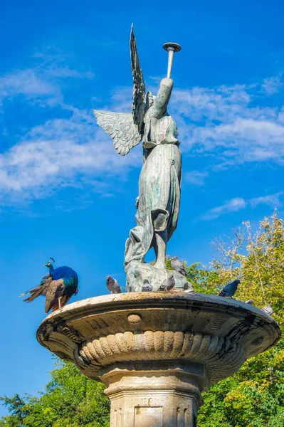 Paon Des Pigeons Perchés Sommet Fontaine Renommée Dans Jardin Public — Photo