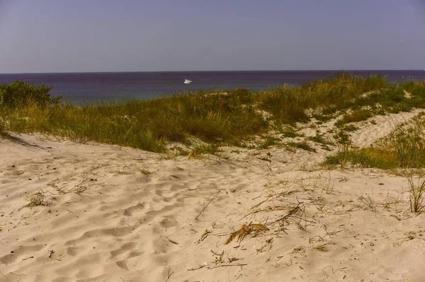 Piaszczysta Plaża Mierzei Kurońskiej Litwa — Zdjęcie stockowe