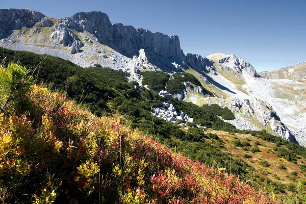 Ett Vackert Landskap Klippiga Berg Solig Dag — Stockfoto