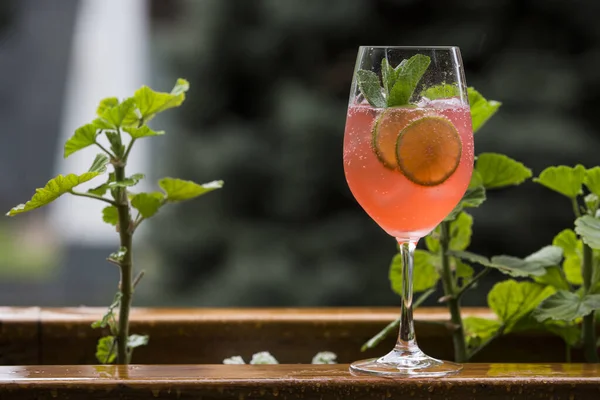 Primo Piano Bicchiere Cocktail Alcolico Con Fette Agrumi Una Superficie — Foto Stock