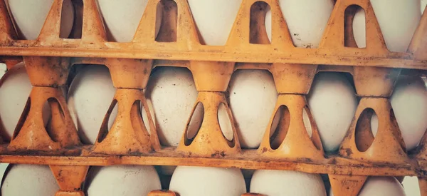 Een Close Shot Van Een Stel Eieren Een Mand Supermarkt — Stockfoto