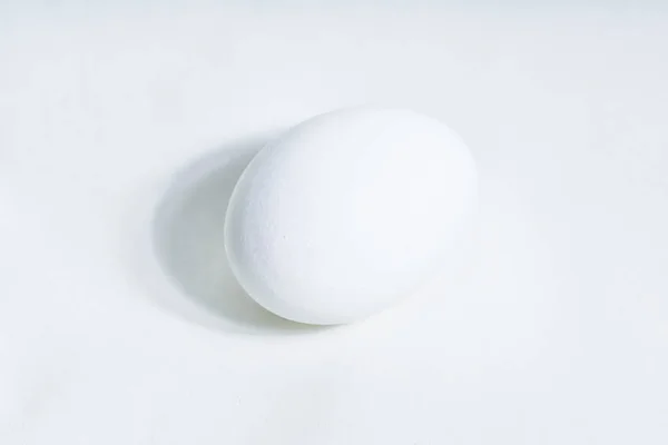 Eine Nahaufnahme Eines Tischeiers Isoliert Auf Weißem Hintergrund — Stockfoto