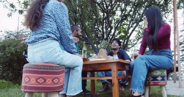 Grupp Vänner Parken Som Har Picknick — Stockvideo