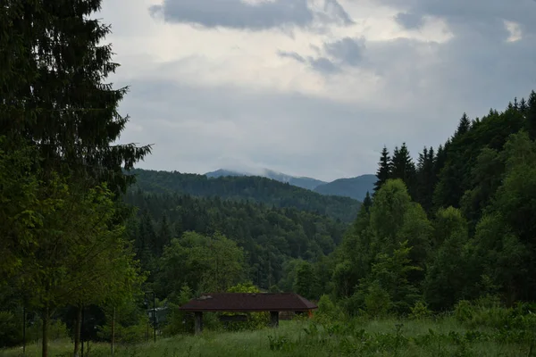 Vecchio Cottage Abbandonato Nel Mezzo Una Foresta Con Conifere Sotto — Foto Stock