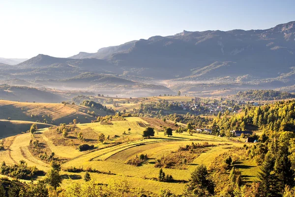 Beau Paysage Arbres Sur Les Montagnes Vertes Par Une Journée — Photo