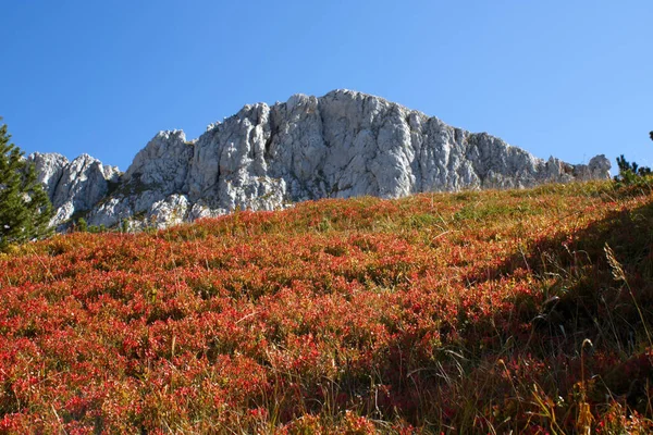 Beau Paysage Montagnes Rocheuses Par Une Journée Ensoleillée — Photo