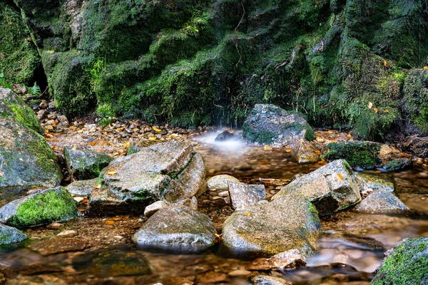 Une Scène Tranquille Une Montagne Rivière Pierreuse Avec Une Nature — Photo