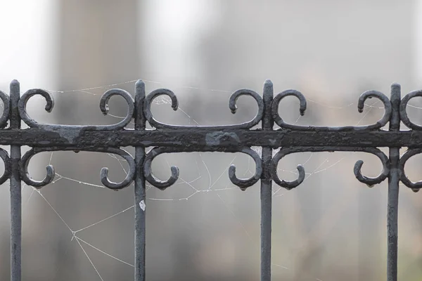 Close Grade Metal Preto Louyat Cemitério Cidade Limoges França — Fotografia de Stock