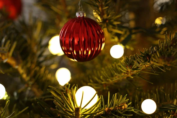 Een Selectieve Focus Shot Van Kleurrijke Lichten Ballen Opknoping Dennenboom — Stockfoto