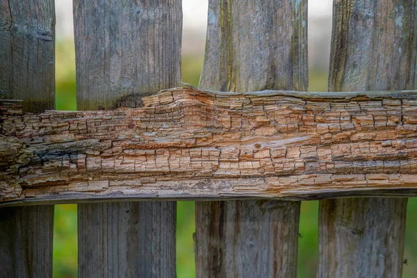Zvětralý Kus Dřeva Dřevěných Plotech — Stock fotografie