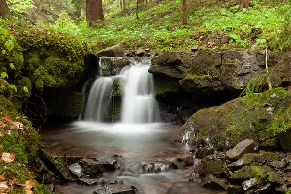 Uma Pequena Cachoeira Riacho Floresta — Fotografia de Stock
