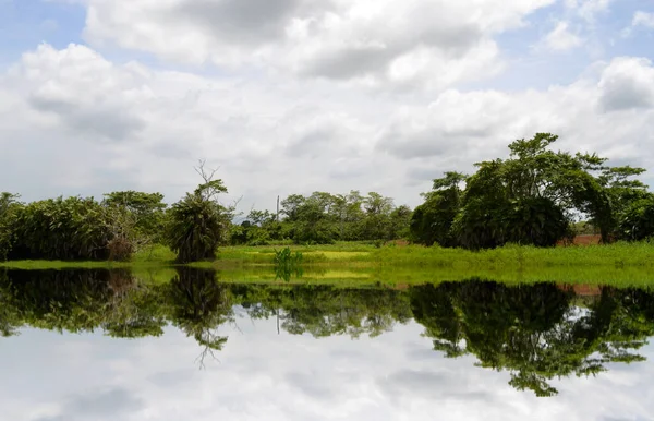 Schöne Aufnahme Einer Reflexion Von Bäumen Auf Dem See — Stockfoto