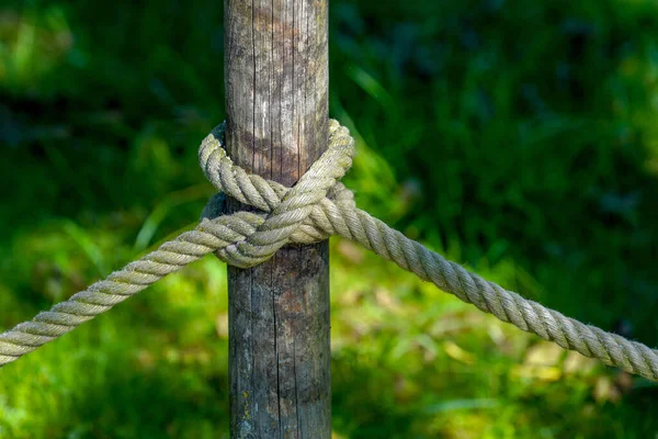 Eine Selektive Fokusaufnahme Eines Seilknotens Auf Einem Holz — Stockfoto