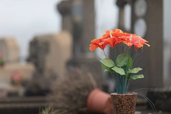 묘지에 꽃다발 프랑스의 리모주 — 스톡 사진
