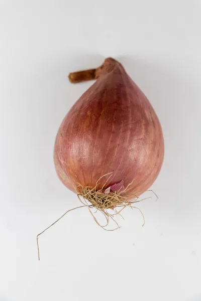 Fresh Whole Red Onion Spanish Onion Isolated White Background — Stock Photo, Image