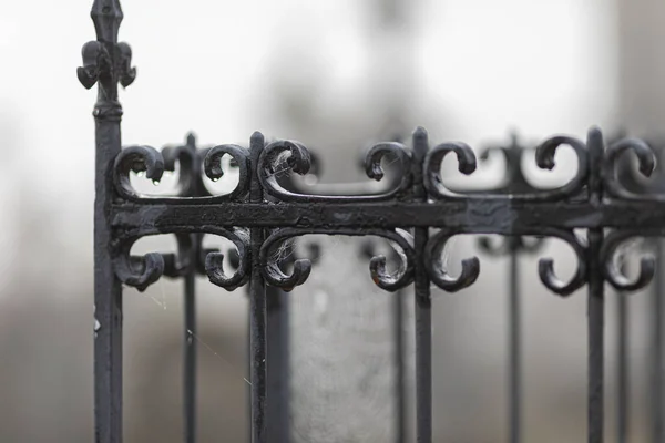 Primer Plano Barandilla Metal Negro Cementerio Louyat Ciudad Limoges Francia —  Fotos de Stock