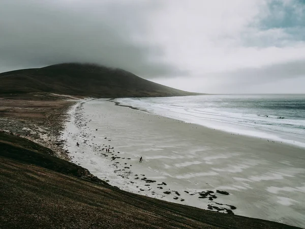 Beau Paysage Côtier Falkland Island Hémisphère Sud — Photo