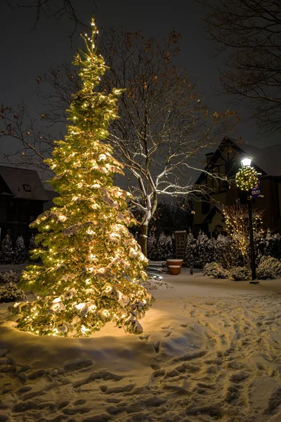 Brillante Árbol Navidad Pueblo Nevado Por Noche — Foto de Stock