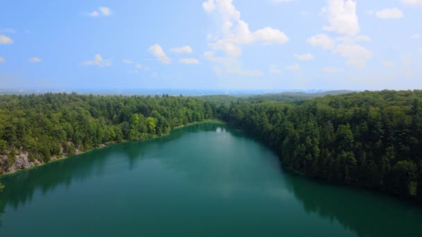 Hermoso Lago Cerca Del Bosque — Vídeos de Stock