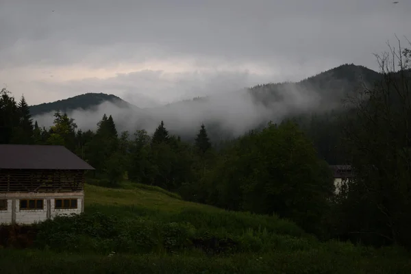 Uma Casa Campo Velha Uma Floresta Com Árvores Coníferas Sob — Fotografia de Stock