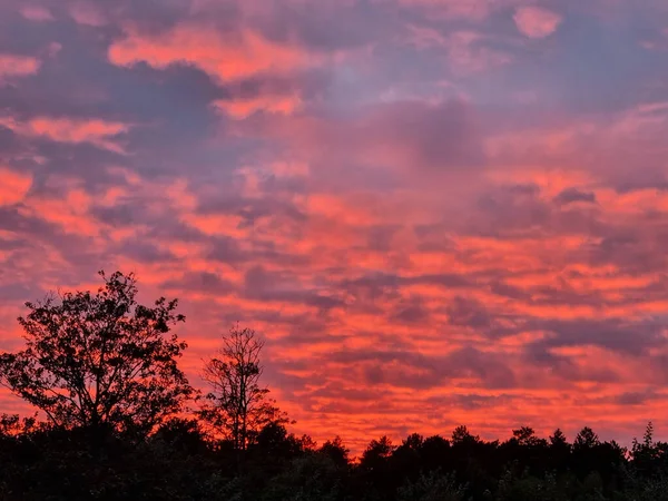 Ein Wald Unter Einem Schönen Roten Abendhimmel — Stockfoto