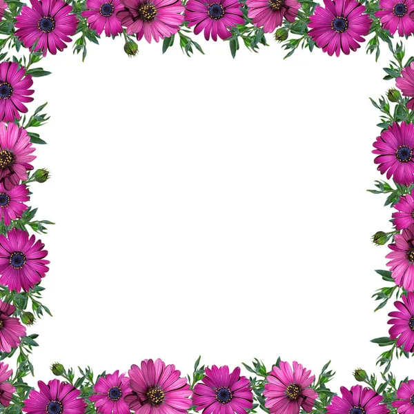 Illustration Purple Floral Border Frame Space Text Middle — Stock Photo, Image