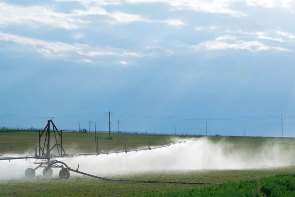 Sprinkleranlage Mit Selbstfahrender Trägerrakete Einsatz Auf Den Feldern Einem Sonnigen — Stockfoto