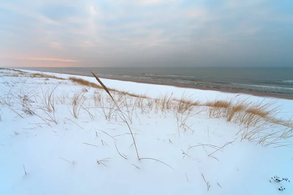 リトアニアのクルオニア スピットの雪に覆われたビーチ — ストック写真