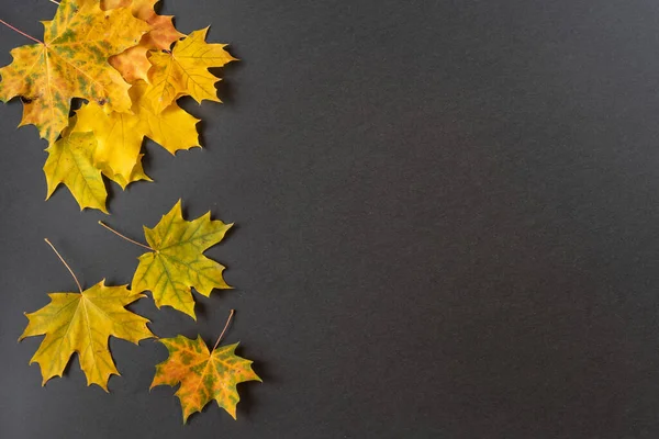 Ein Blick Von Oben Auf Herbstblätter Mit Kopierraum — Stockfoto