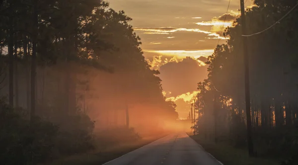 Чудовий Схід Сонця Національному Парку Еверґлейдс Флорида Сша — стокове фото