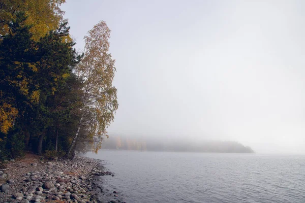 Vacker Utsikt Över Sjö Nära Skogen Dimma — Stockfoto