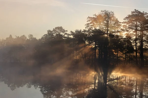 Une Belle Vue Sur Lac Entouré Arbres Coucher Soleil Estonie — Photo