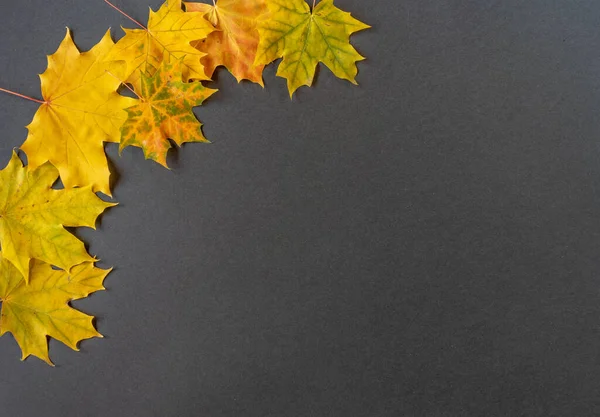 Ein Blick Von Oben Auf Herbstblätter Mit Kopierraum — Stockfoto