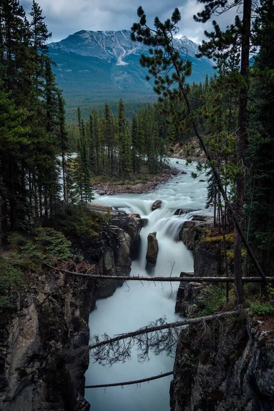 Alberta Kanada Daki Sunwapta Şelalesinin Dikey Görüntüsü — Stok fotoğraf