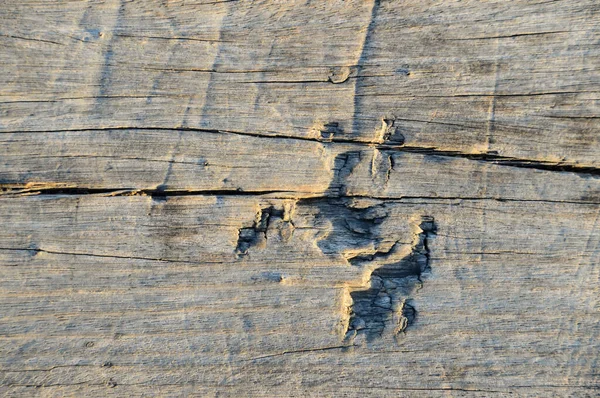 Primer Plano Una Textura Madera Agrietada —  Fotos de Stock