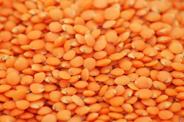 Die Nahaufnahme Einer Winzigen Orangen Linse Isoliert Auf Weißem Hintergrund — Stockfoto