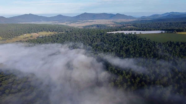 Eine Draufsicht Auf Einen Nebeligen Wald Tapalpa Jalisco Mexiko — Stockfoto